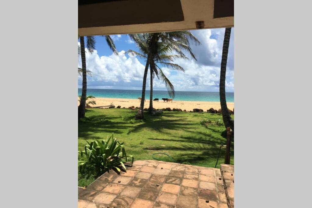Coconut Castle At La Lodge At Long Bay South End Εξωτερικό φωτογραφία