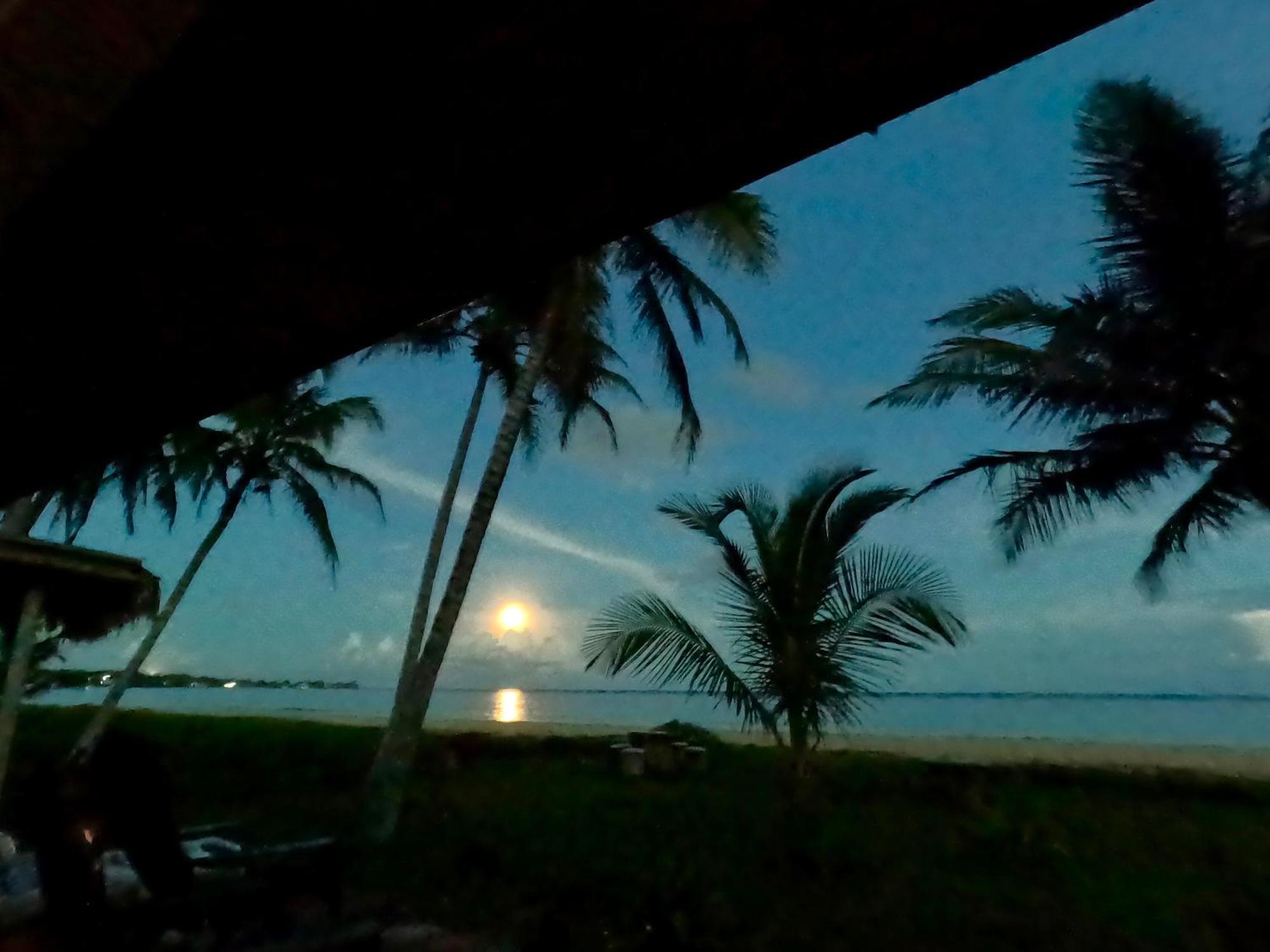 Coconut Castle At La Lodge At Long Bay South End Εξωτερικό φωτογραφία